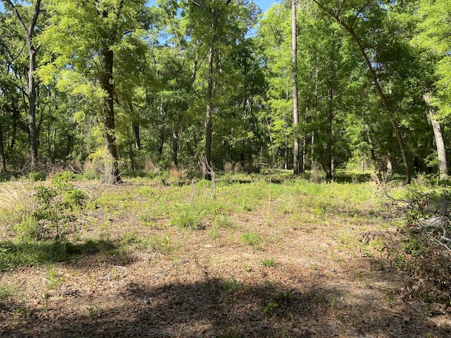 6079 Josie Ridge Rd, Wadmalaw Island, SC 29487