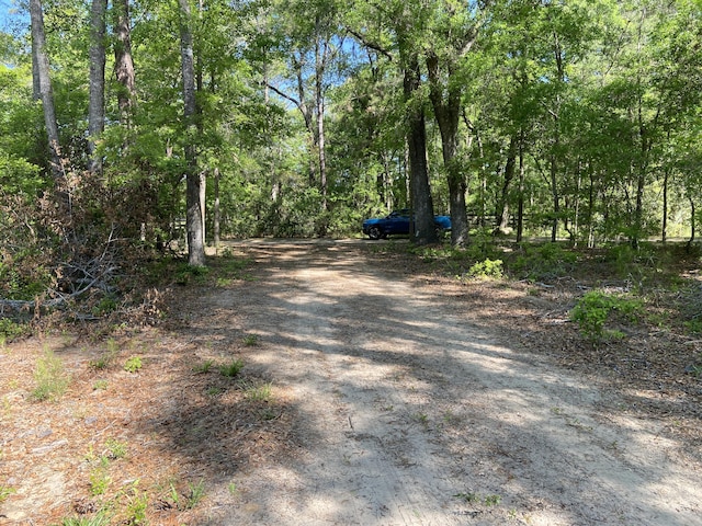 6079 Josie Ridge Rd, Wadmalaw Island, SC 29487