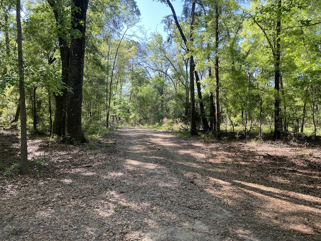 6079 Josie Ridge Rd, Wadmalaw Island, SC 29487