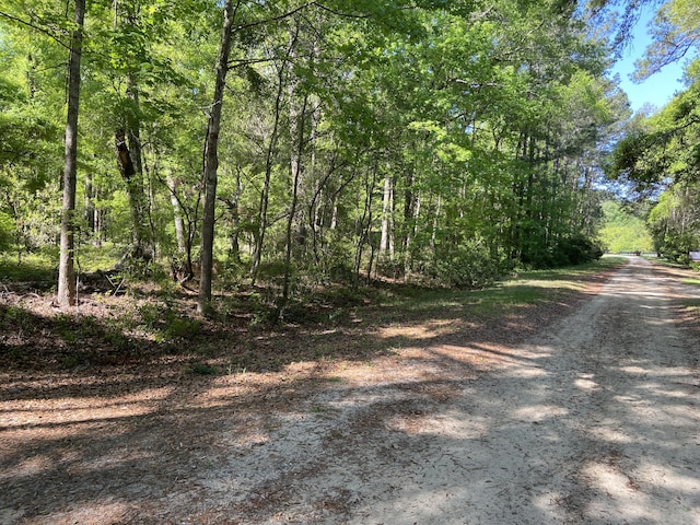 6079 Josie Ridge Rd, Wadmalaw Island, SC 29487