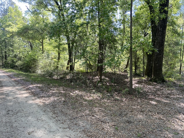 6079 Josie Ridge Rd, Wadmalaw Island, SC 29487