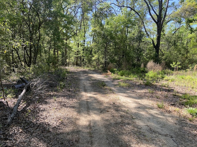 6079 Josie Ridge Rd, Wadmalaw Island, SC 29487