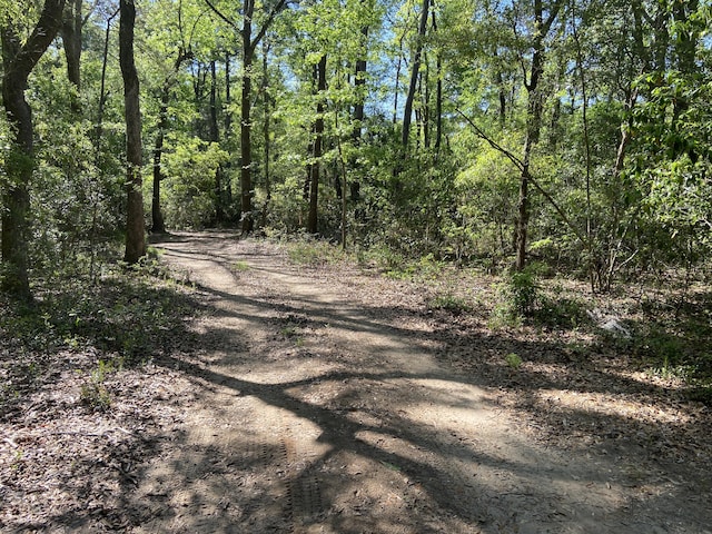 6079 Josie Ridge Rd, Wadmalaw Island, SC 29487
