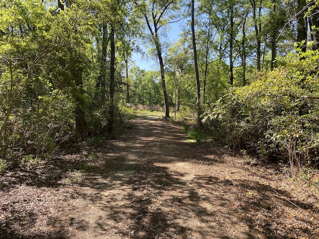 6079 Josie Ridge Rd, Wadmalaw Island, SC 29487