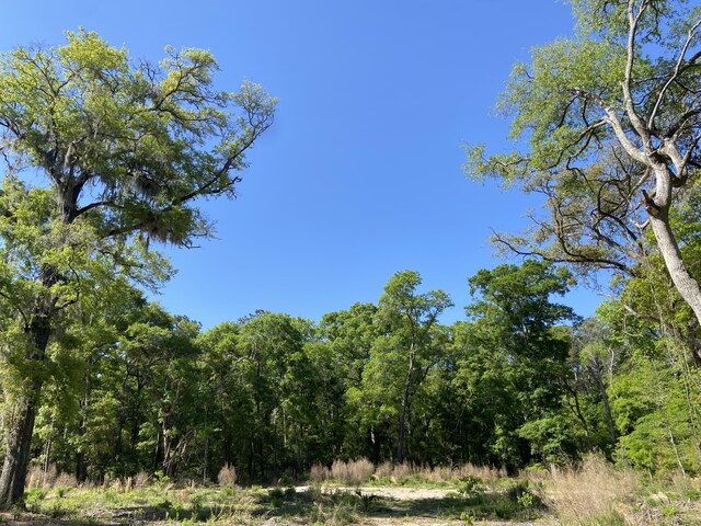 6079 Josie Ridge Rd, Wadmalaw Island, SC 29487