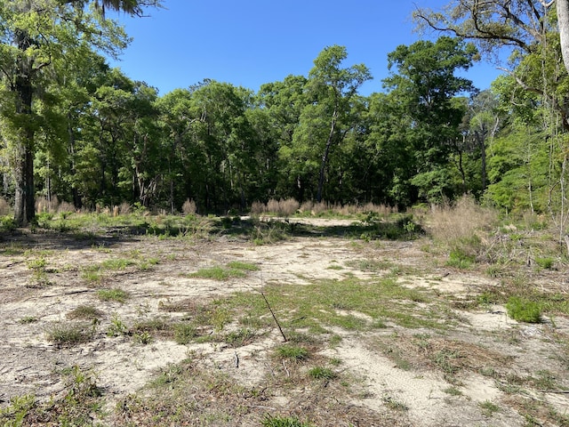 6079 Josie Ridge Rd, Wadmalaw Island, SC 29487