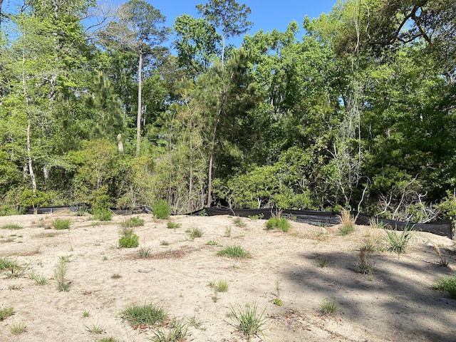6079 Josie Ridge Rd, Wadmalaw Island, SC 29487
