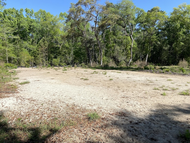 6079 Josie Ridge Rd, Wadmalaw Island, SC 29487