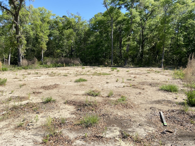 6079 Josie Ridge Rd, Wadmalaw Island, SC 29487