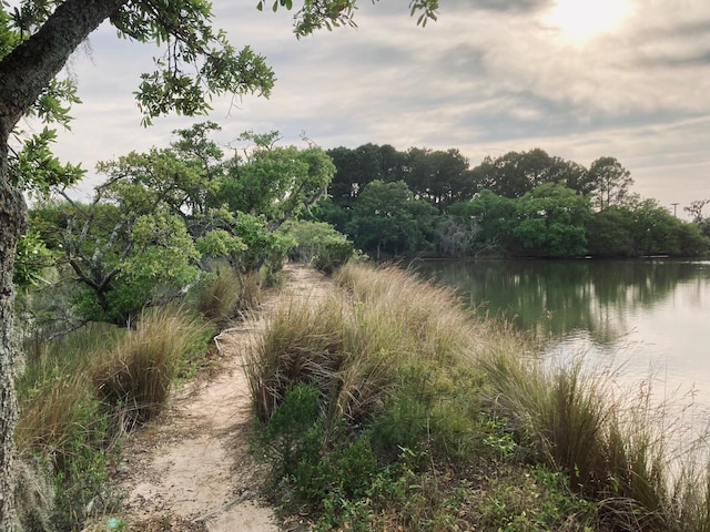 6079 Josie Ridge Rd, Wadmalaw Island, SC 29487