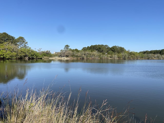 6079 Josie Ridge Rd, Wadmalaw Island, SC 29487