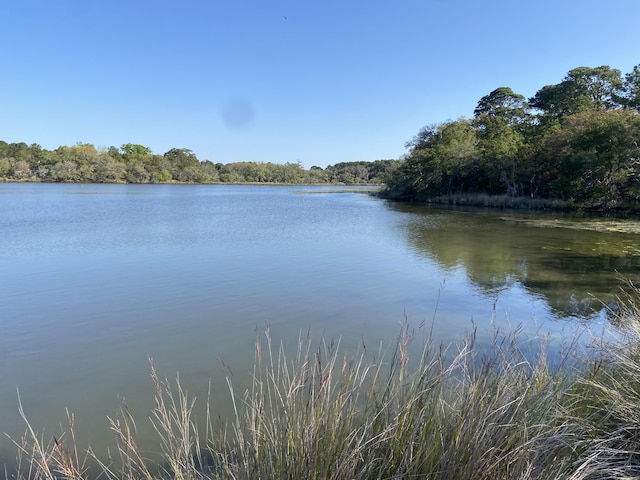 6079 Josie Ridge Rd, Wadmalaw Island, SC 29487