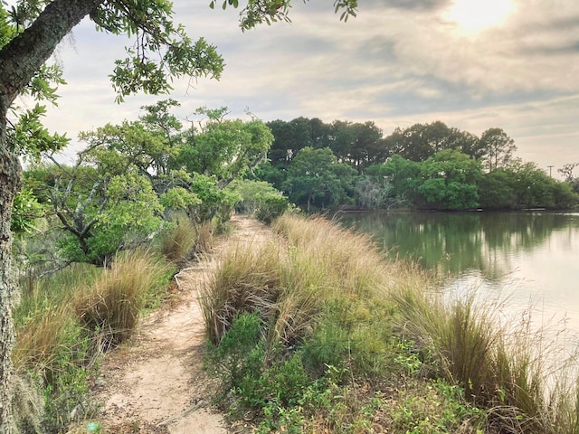 6079 Josie Ridge Rd, Wadmalaw Island, SC 29487