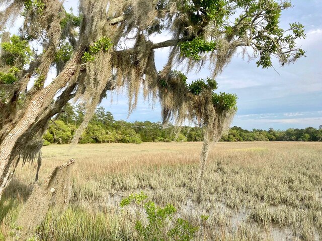6079 Josie Ridge Rd, Wadmalaw Island, SC 29487