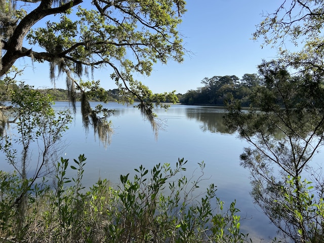 6079 Josie Ridge Rd, Wadmalaw Island, SC 29487