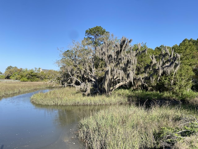 6079 Josie Ridge Rd, Wadmalaw Island, SC 29487