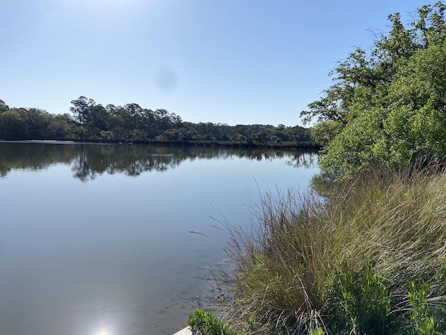 6079 Josie Ridge Rd, Wadmalaw Island, SC 29487