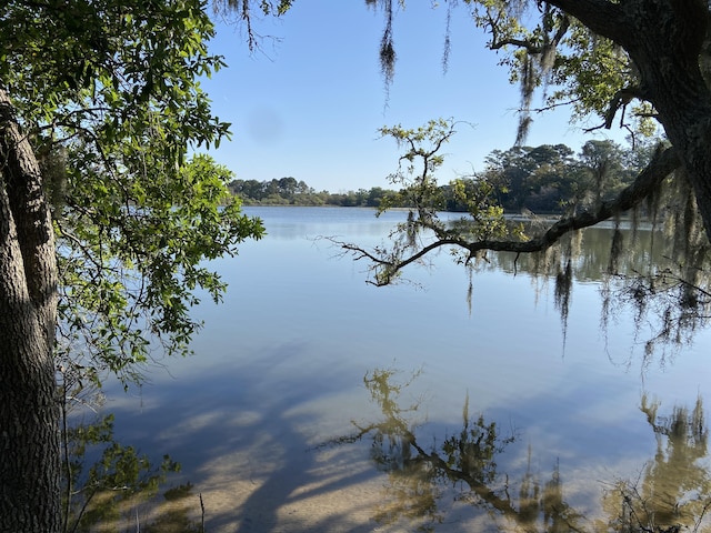 6079 Josie Ridge Rd, Wadmalaw Island, SC 29487