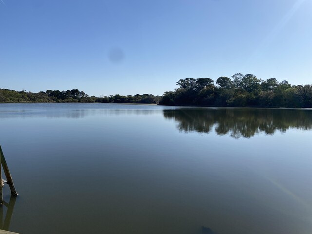 6079 Josie Ridge Rd, Wadmalaw Island, SC 29487