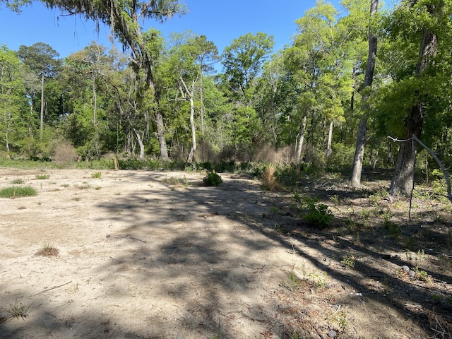 6079 Josie Ridge Rd, Wadmalaw Island, SC 29487