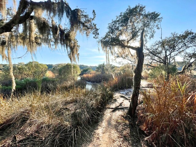 6079 Josie Ridge Rd, Wadmalaw Island, SC 29487