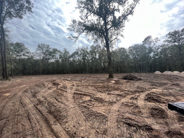 6079 Josie Ridge Rd, Wadmalaw Island, SC 29487