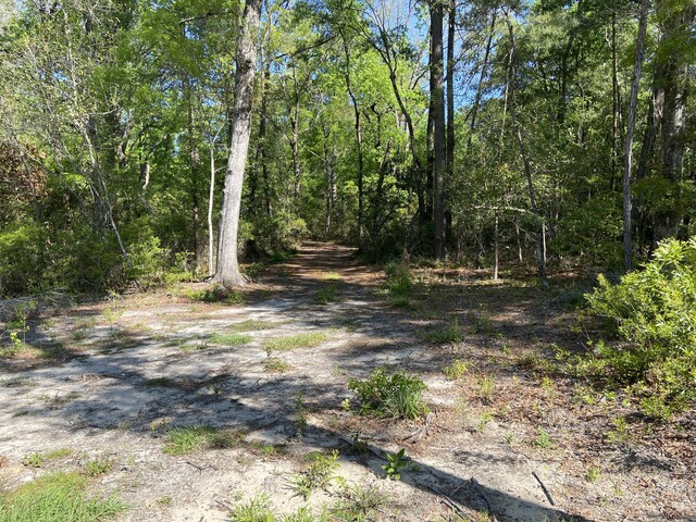 6079 Josie Ridge Rd, Wadmalaw Island, SC 29487
