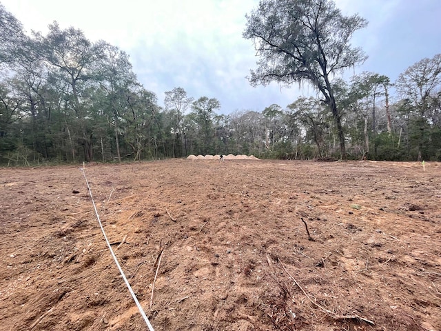 6079 Josie Ridge Rd, Wadmalaw Island, SC 29487