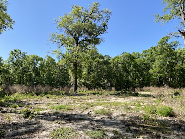 6079 Josie Ridge Rd, Wadmalaw Island, SC 29487