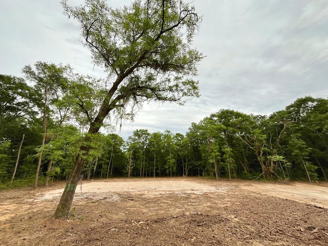 6079 Josie Ridge Rd, Wadmalaw Island, SC 29487