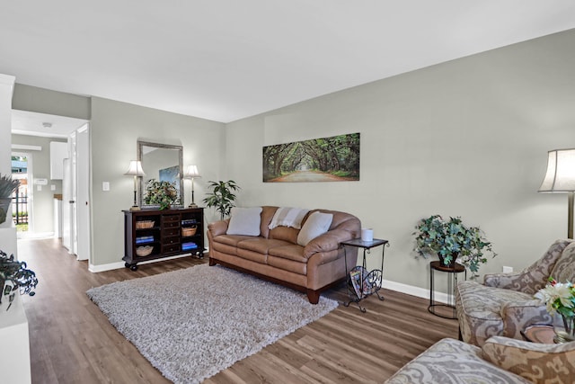 living room featuring wood-type flooring