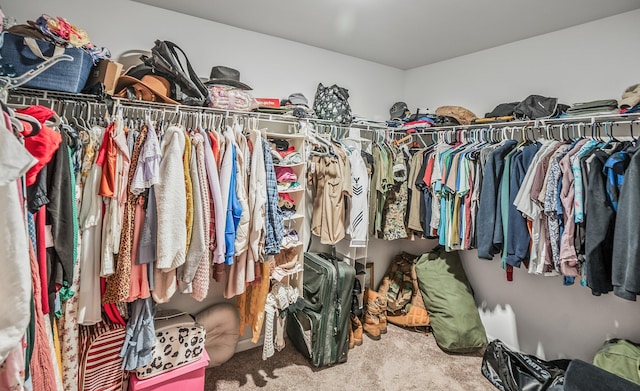 spacious closet with carpet flooring