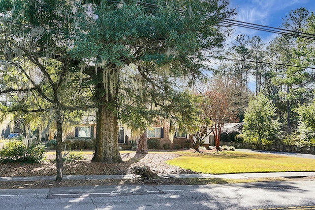 view of property hidden behind natural elements with a front yard