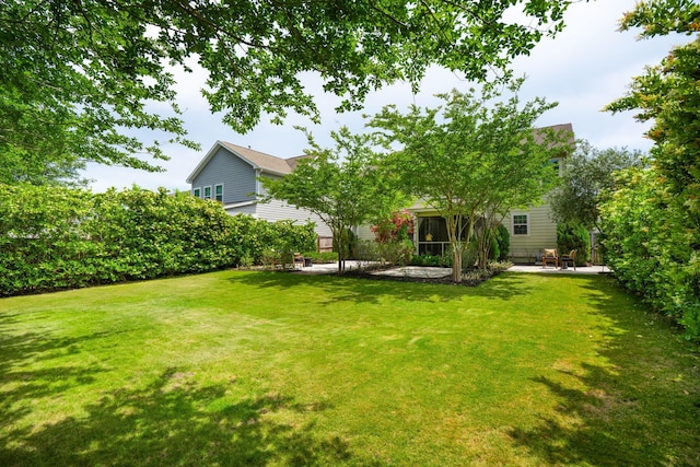 view of grassy yard featuring a patio area