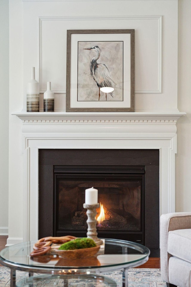 detailed view of a glass covered fireplace and wood finished floors