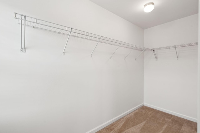 walk in closet with carpet