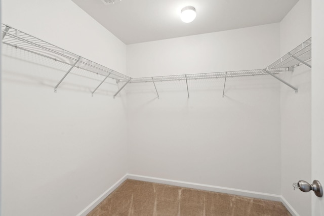 spacious closet featuring carpet floors