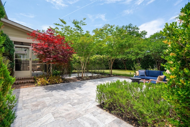 view of yard with a patio area, a sunroom, and outdoor lounge area
