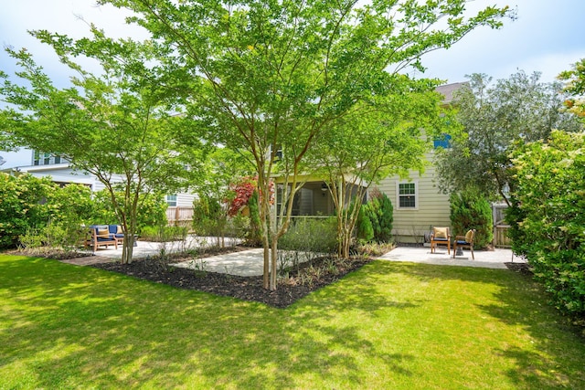 view of yard featuring a patio