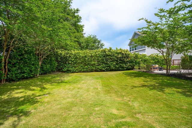 view of yard