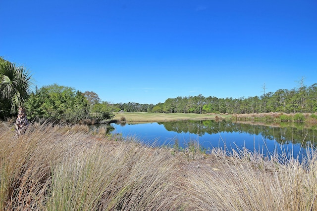 property view of water