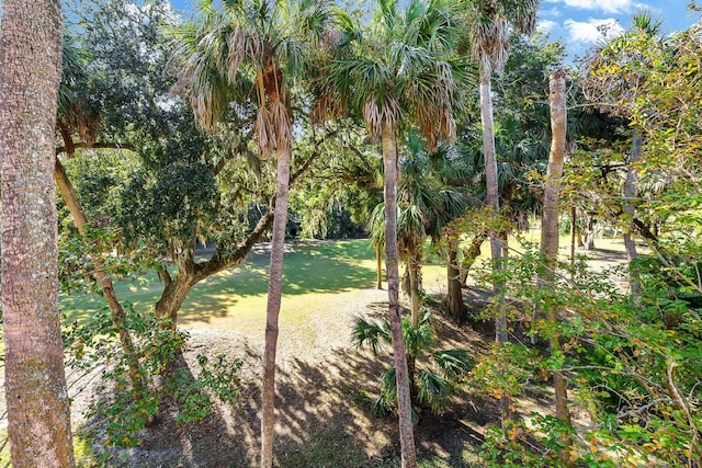 view of community featuring a lawn