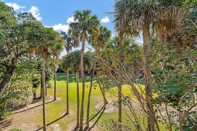 exterior space with a lawn