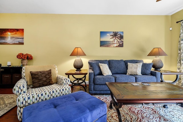 living room featuring dark hardwood / wood-style flooring