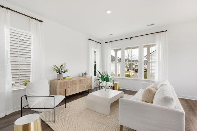 living room featuring hardwood / wood-style floors