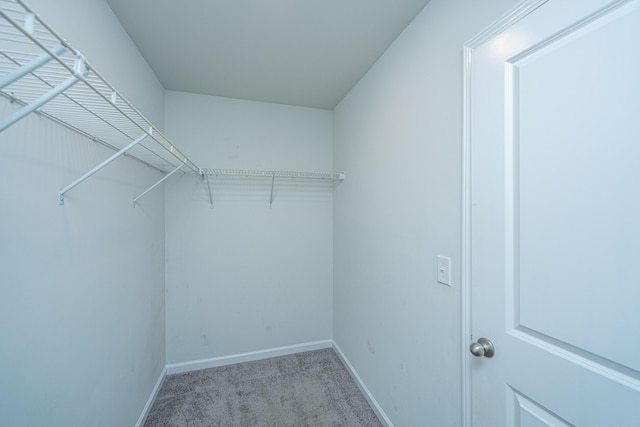 431 Buckhannon Ln, Moncks Corner, SC 29461 - spacious closet featuring carpet floors