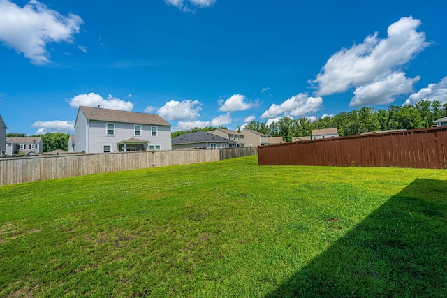 431 Buckhannon Ln, Moncks Corner, SC 29461 - view of yard