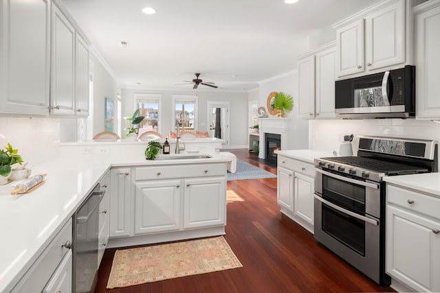 kitchen featuring ornamental molding, a ceiling fan, appliances with stainless steel finishes, and a sink