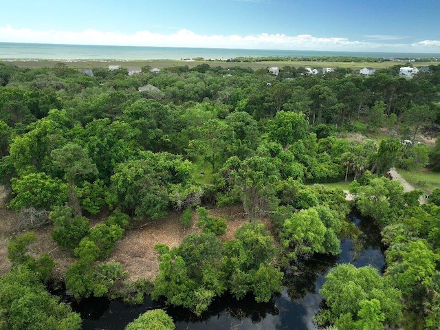 697 Jan Savage Way Lot (A-A-A), Lot A-A-A Edisto Island SC, 29438 land for sale