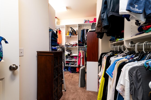 walk in closet featuring light carpet